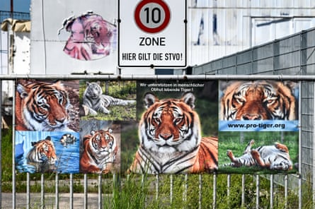 A poster showing images of tigers on a railing