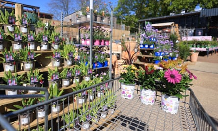 Imported plants are seen at a garden centre in London.