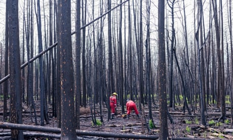 Members of Parkland county check for hot spots in muskeg soil near the town of Entwistle, Alberta.