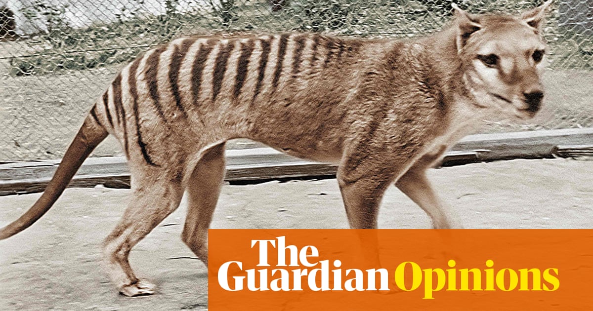 Resurrecting the Tasmanian tiger may be a noble idea – but what about preserving..