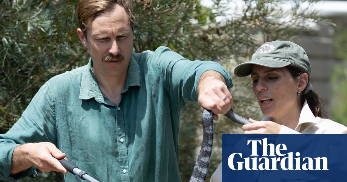 Snakes, sheilas and a backblocks shed: the school teaching how to wrangle Australia's most venomous reptiles