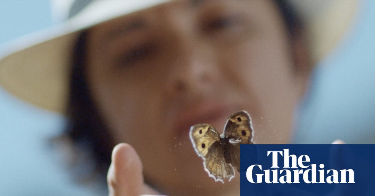 Four wives, two passports and a very elusive butterfly: one woman’s search for her lepidopterist father