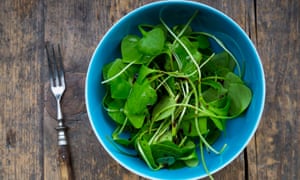 Cómo prepara tu jardín para la primavera 1 Sow winter purslane for salads.