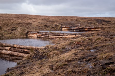 Dams of logs create ponds on Dartmoor