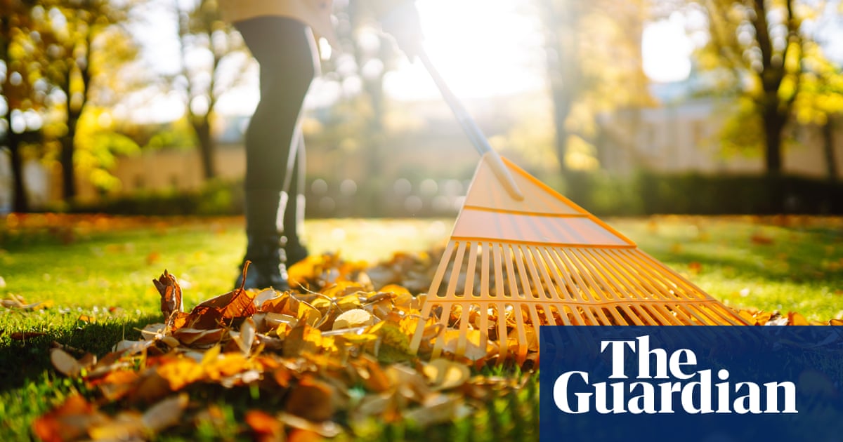 Leaf feud is mulch ado about nothing | Brief letters Leaf feud is mulch ado about nothing | Brief letters