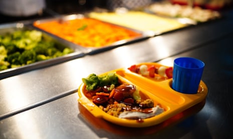 School meal on a tray