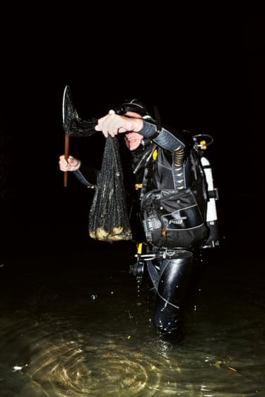 A diver holding up a catch of American bullfrogs in the Eggenstein quarry pond