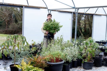 Toby Shuall at his nursery