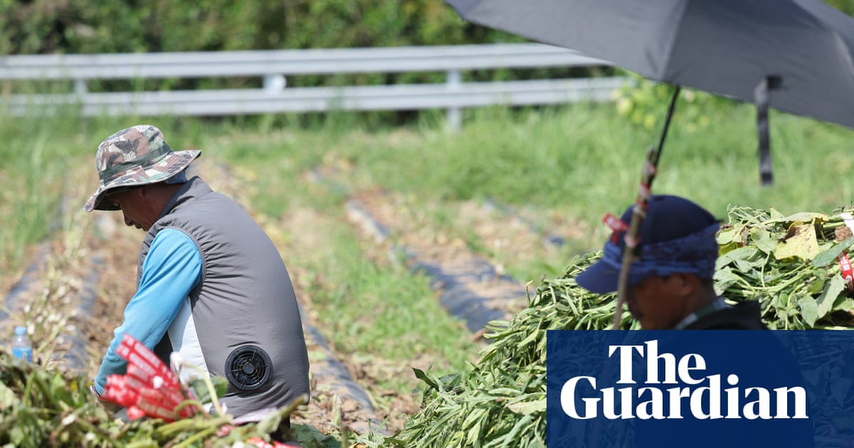 Potatoes ‘boil’ in the ground as record heatwave sweeps across swathes of Asia