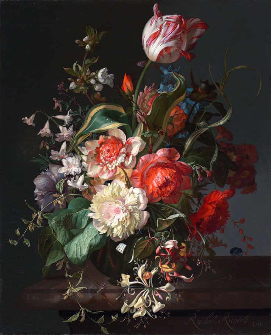 Rachel Ruysch’s Flowers in a Glass Vase With a Tulip, 1716