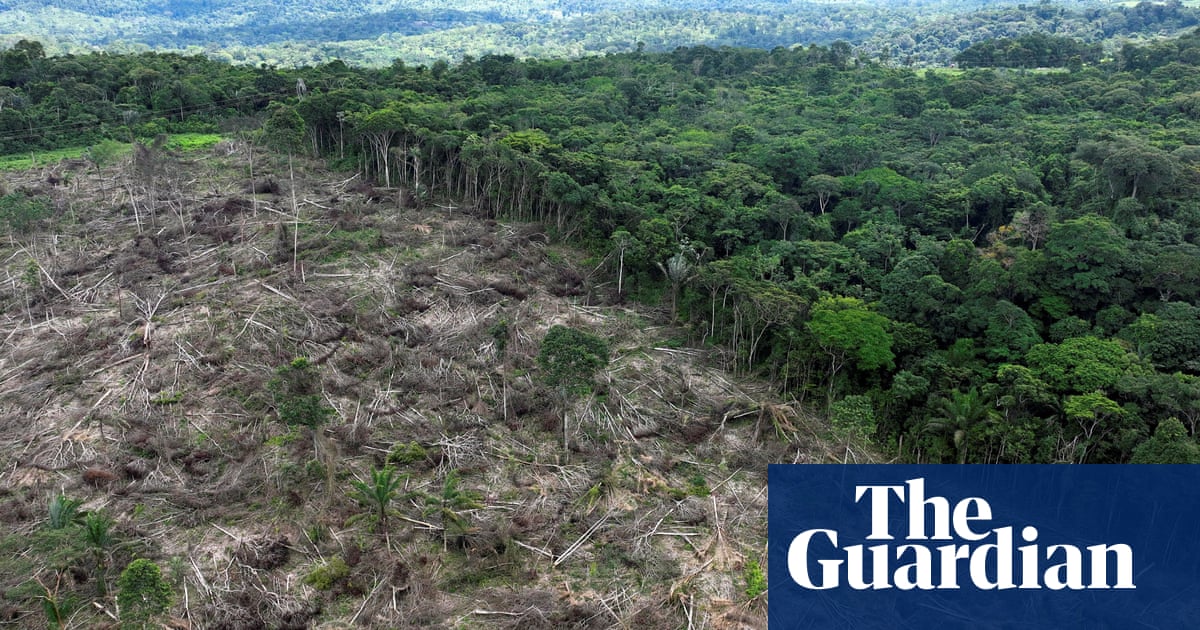 Record deforestation in Brazil’s Amazon rainforest shows challenge facing Lula