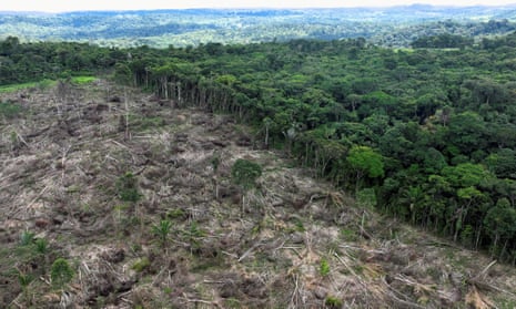 Drone footage shows deforestation in Brazilian Amazon