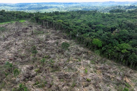 An aerial view of a deforested area in the Amazon.