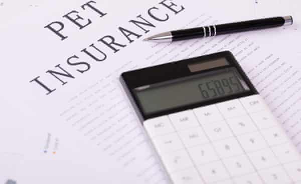 pet insurance concept, documents on the desktop