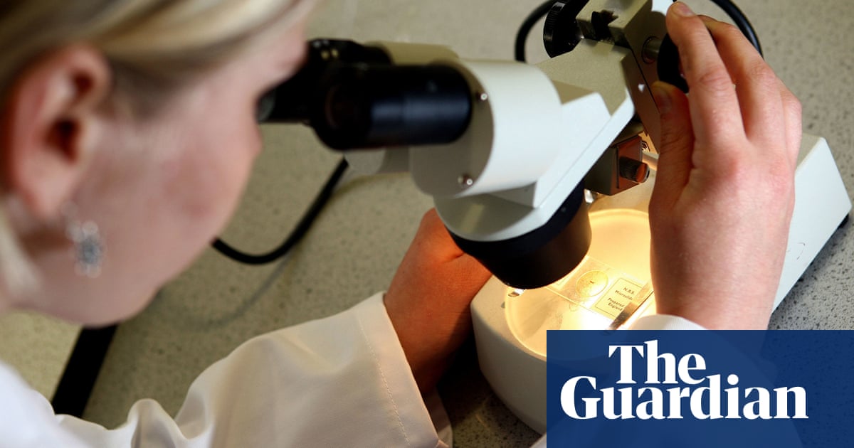British scientists can request grants if UK rejoins EU's Â£85bn Horizon scheme