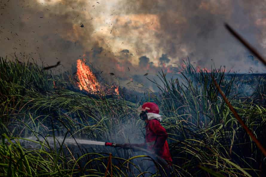 A peatland fire in Ogan Ilir, Indonesia last year.