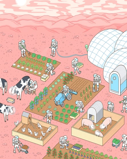 ‘When I started the general idea was: “Food? Yeah, you just bring it along”: gardening in space.