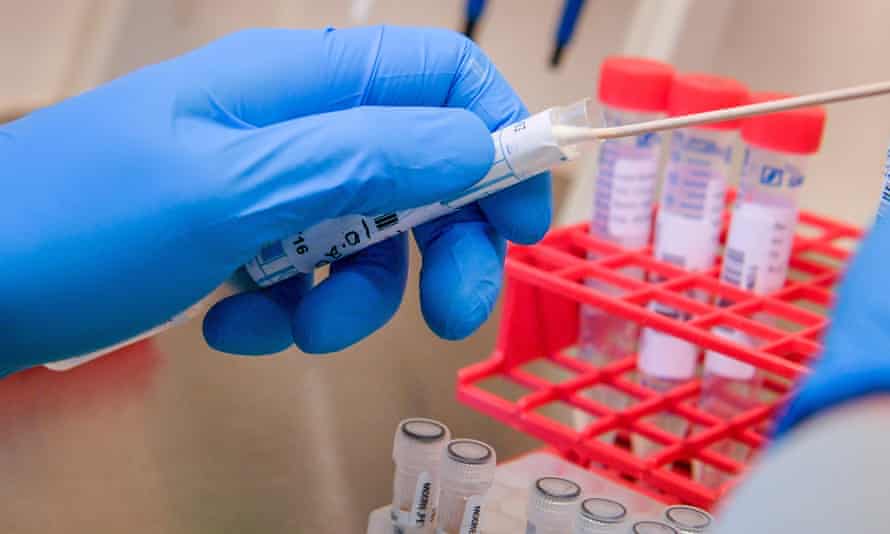 A patient’s Covid-19 swab is taken out from a sterile tube. Scientists now now that UK epidemic was seeded by more than 1,000 distinct variants of the virus.