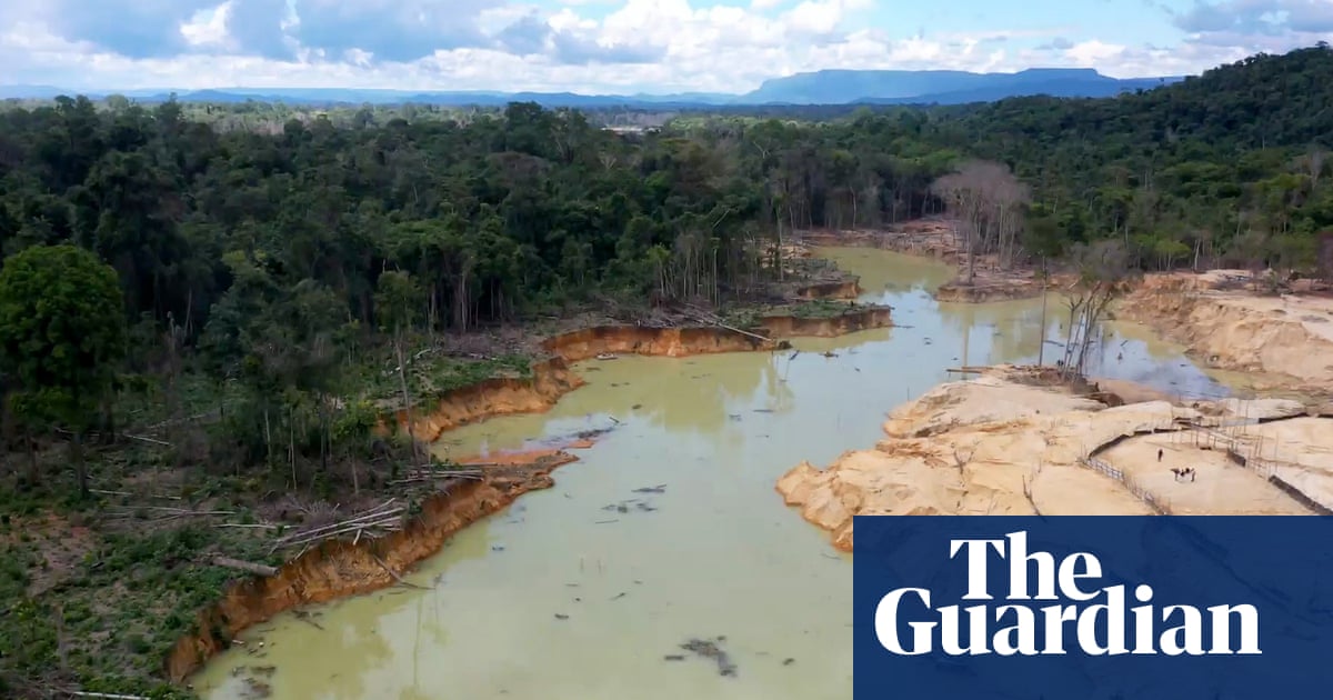 'Like a bomb going off': why Brazil's largest reserve is facing destruction