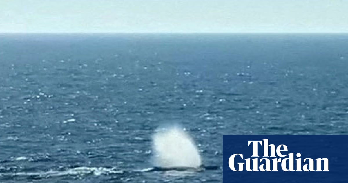 Rescuers release humpback whale after it was stranded in shallow waters near Baltic coast Rescuers release humpback whale after it was stranded in shallow waters near Baltic coast