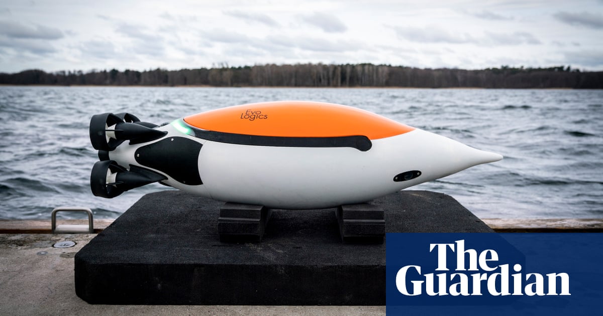 Robo-penguin: how artificial birds are relaying the secrets of ocean currents