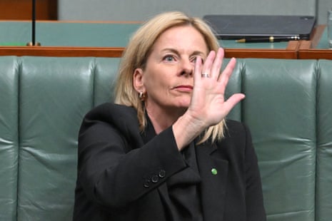 Shadow minister for the environment, Angie Bell.