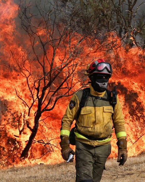 Forest fires trail pic