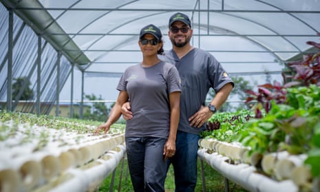 Efrén Robles and his wife Angelie Martínez, owners of Frutos del Guacabo, a culinary agriculture farm, inside one of their hydroponic greenhouses.