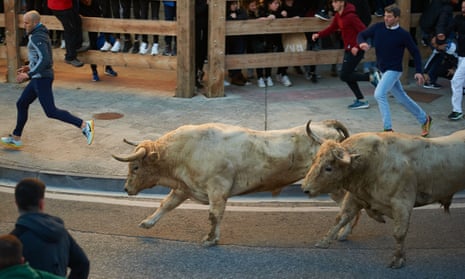 Bulls run through the streets of Tafalla, in central Navarre, after bull-running festivals resumed earlier this month