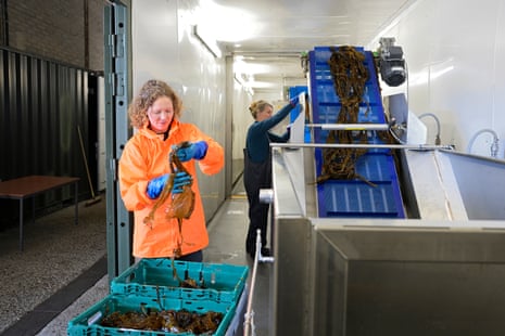 Two women wearing waterproofs in Eco Cascade, Kyle of Lochalsh, where the kelp gets washed and cleaned.
