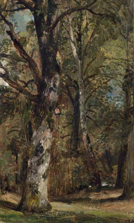 Avenue of Trees, c 1820, by John Constable.