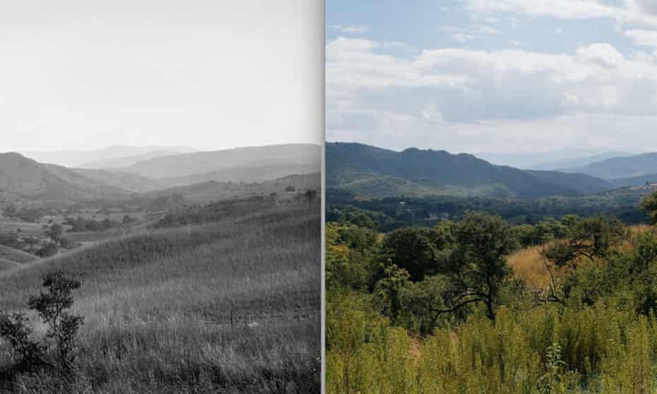 The increase in trees and shrubs in the savannas of South Africa is shown in two images taken more than 100 years apart near Nelspruit
