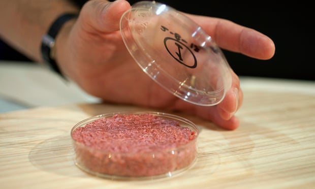 Professor Mark Post shows the world’s first lab-grown beefburger in London, August 2013.