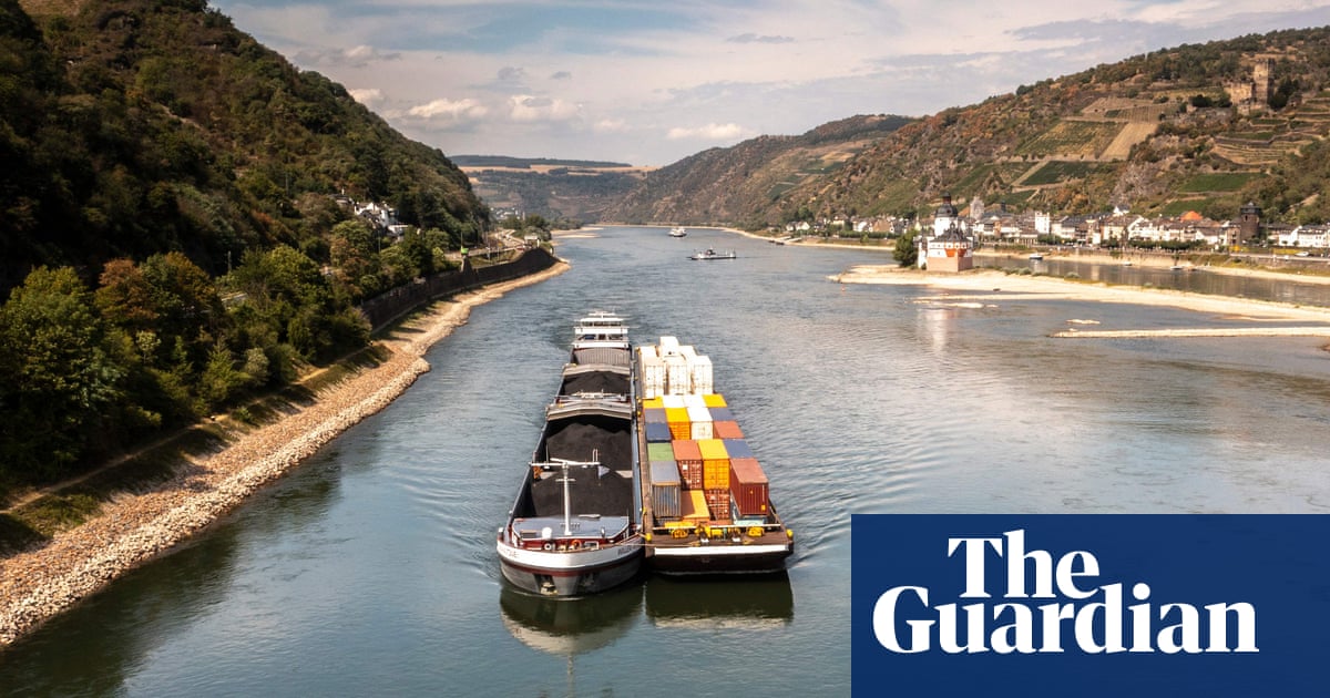 Traffic builds up along Rhine after vessel’s engine failure