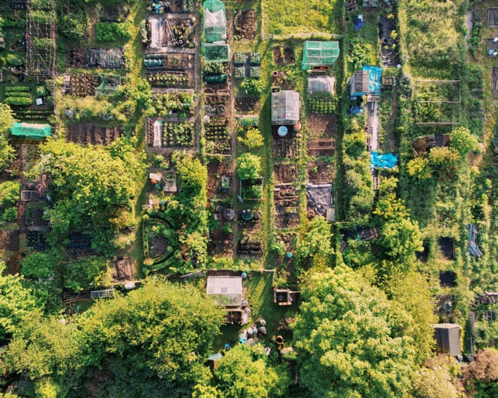 North-east of England is best region in Great Britain for allotments, report finds