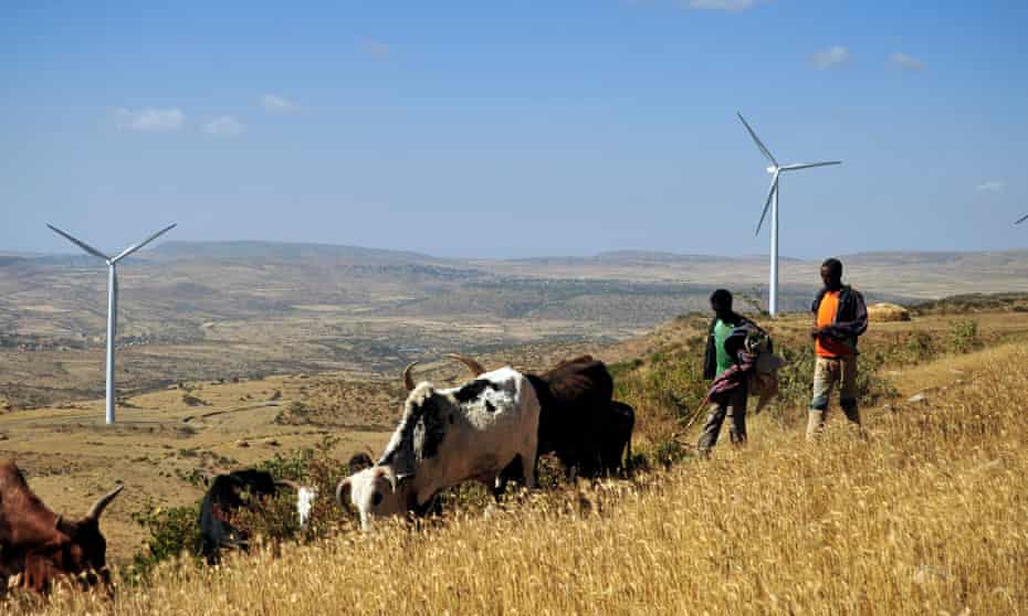 Men walk along a road with cattle near turbines at Ashegoda wind farm in Ethiopia’s northern Tigray region, on November 28, 2013.