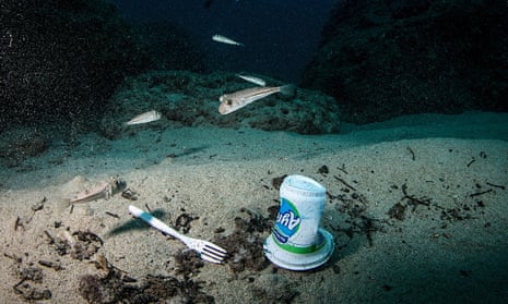 Fishes swim near a plastic fork and a bottle off the coasts of Samandag in Hatay province of Turkey