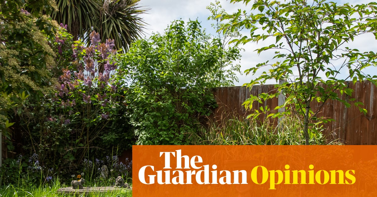 A messy garden is a glorious garden. We need to stop tidying, titivating and paving them over | Emma Beddington