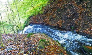 The Cleddon Falls in autumn.