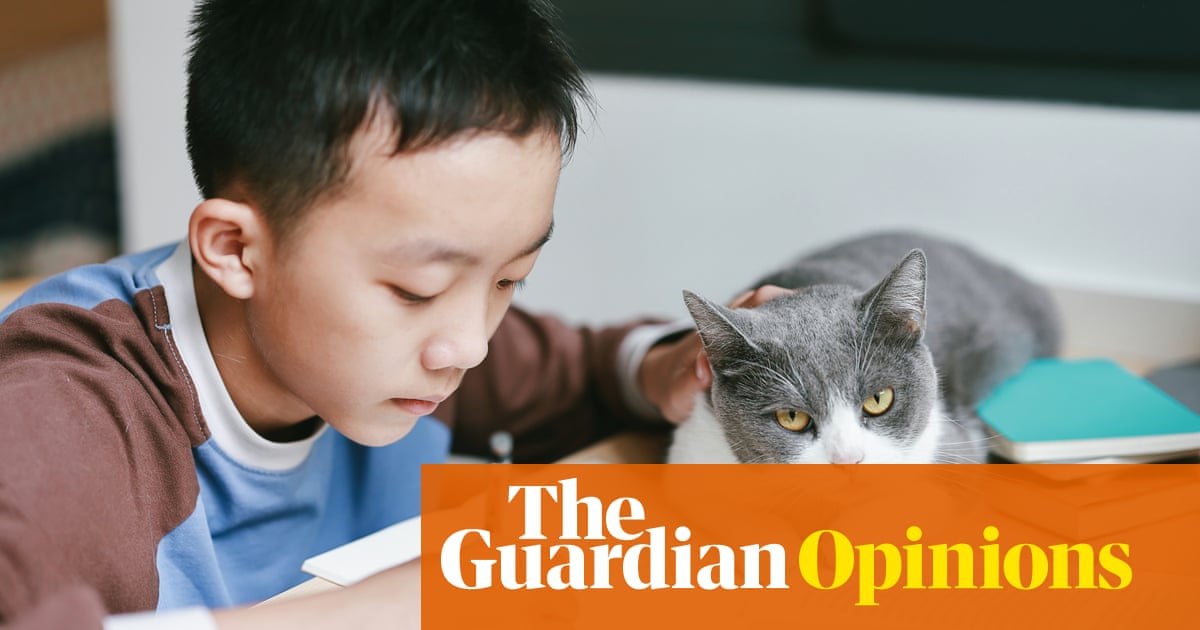Does your child identify as a cat? There's a man in Texas who can help | Arwa Mahdawi