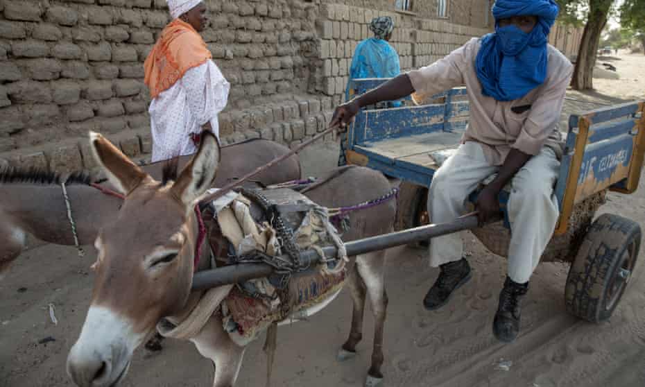 A rubbish collector and his donkey in Timbuktu, Mali. 