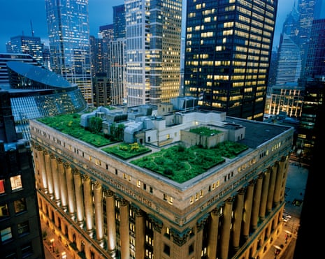 A green roof on Chicago’s City Hall
