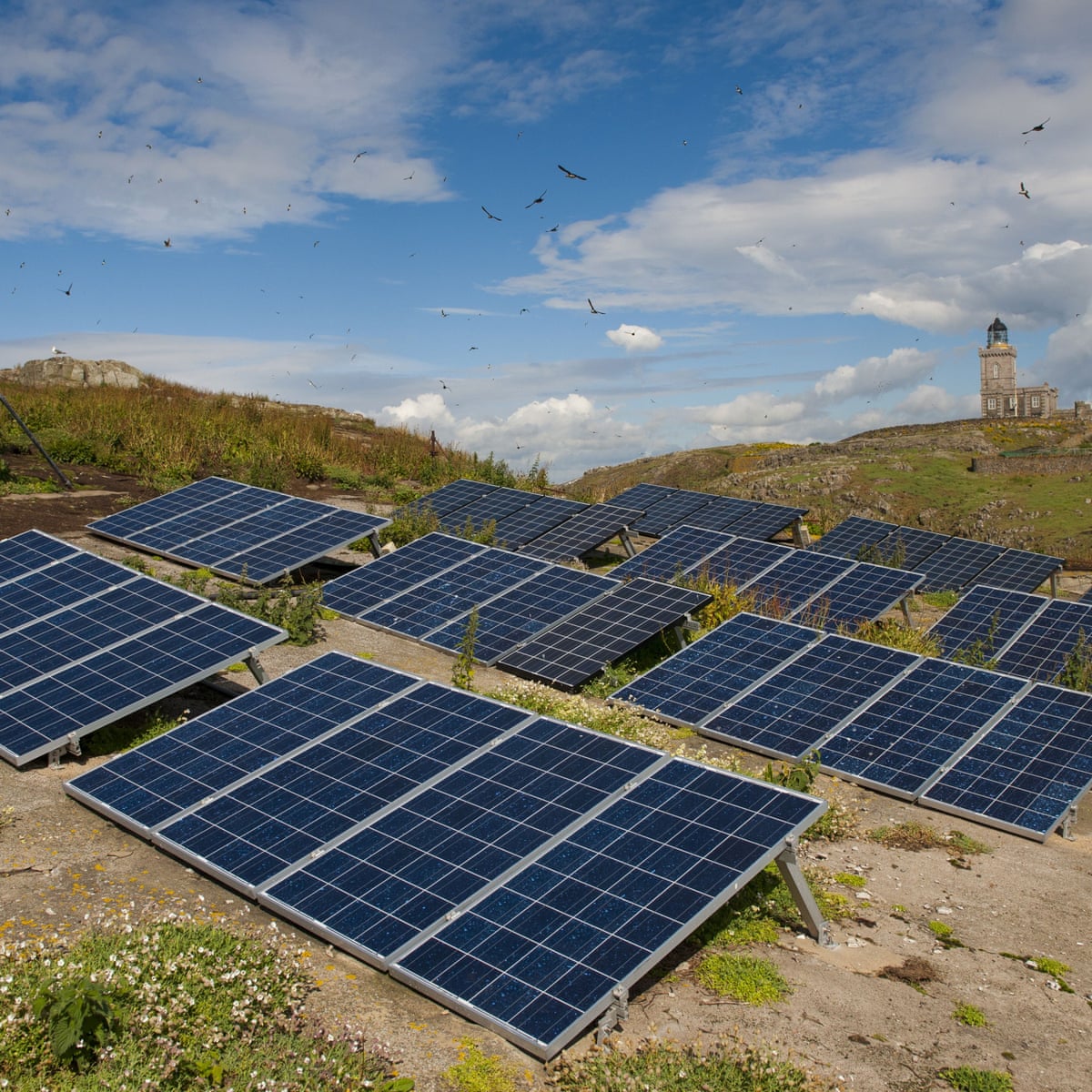 Renewable energy to expand by 50% in next five years - report | Renewable energy | The Guardian