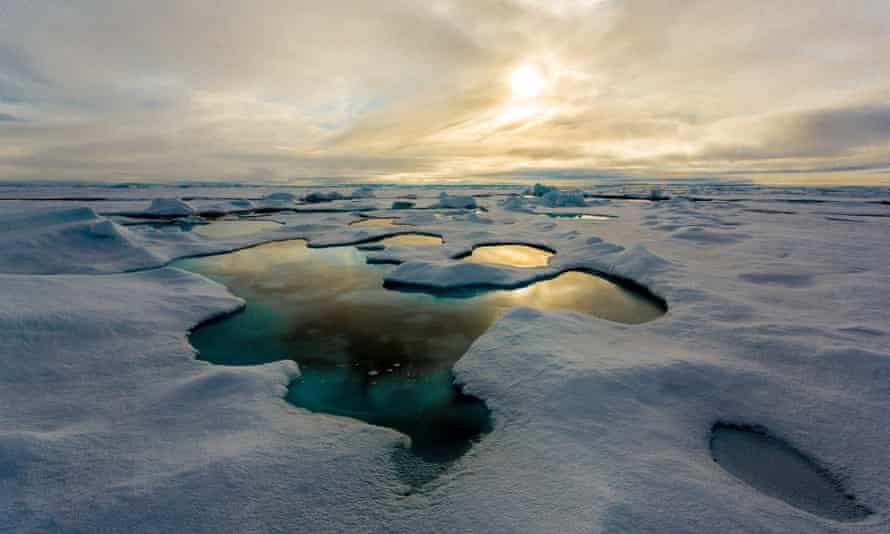 Arctic sea ice