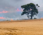 Country diary 1976: As a lone tree burns, the landscape loses another memory