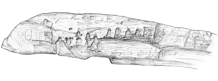 An illustration of the carvings on the Boxford timber