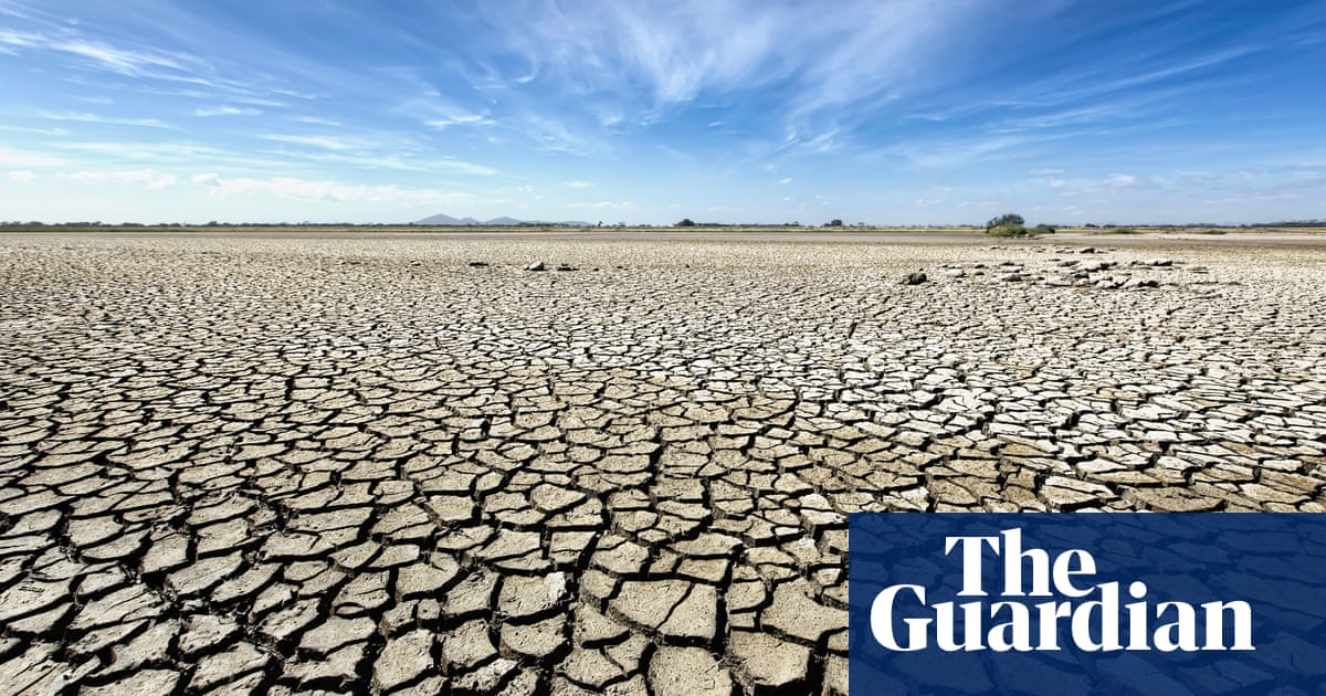 Degradation of land is threat to human life, Saudi government says – The Guardian