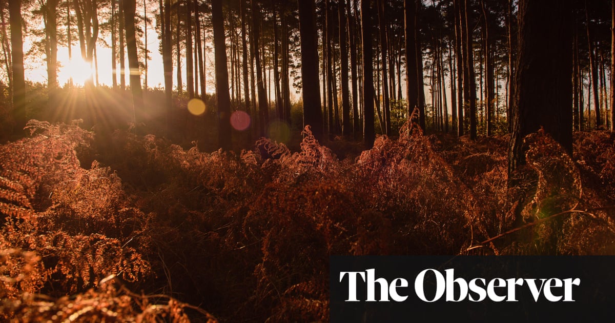 Wellwater by Karen Solie landscapes in distress captured with raw candour