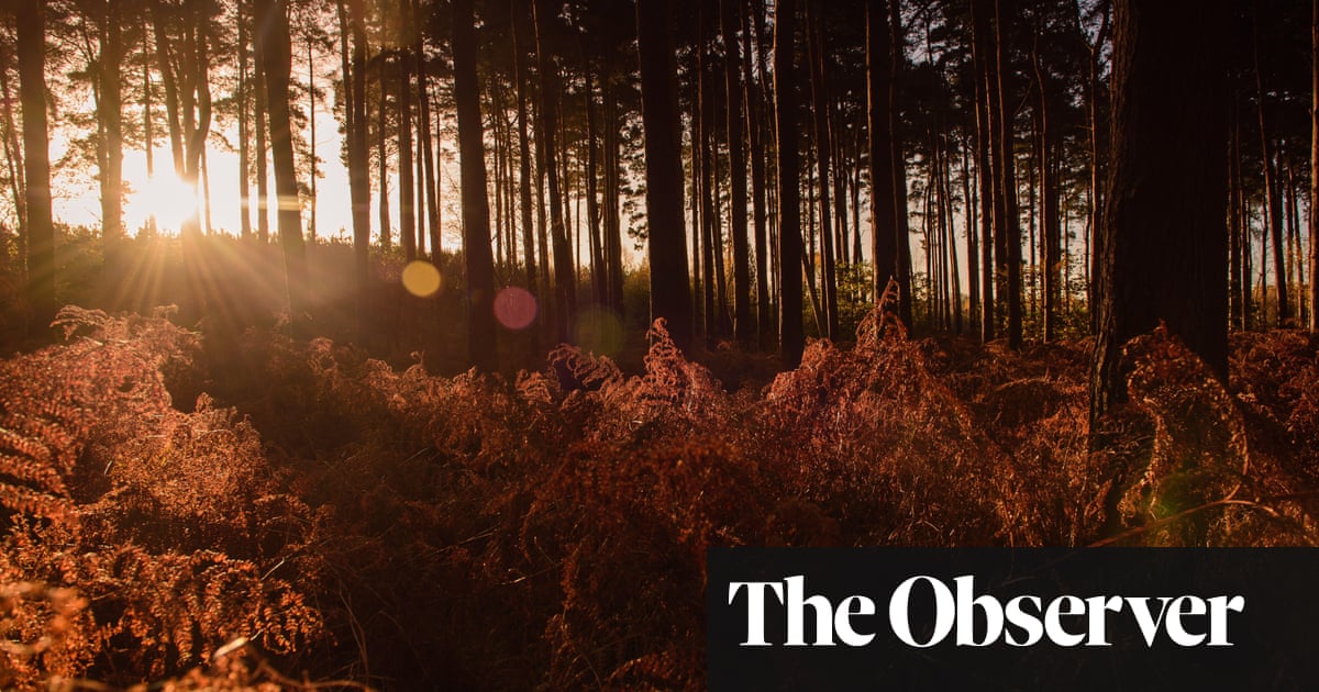 Wellwater by Karen Solie – landscapes in misery captured with uncooked candour Wellwater by Karen Solie – landscapes in misery captured with uncooked candour