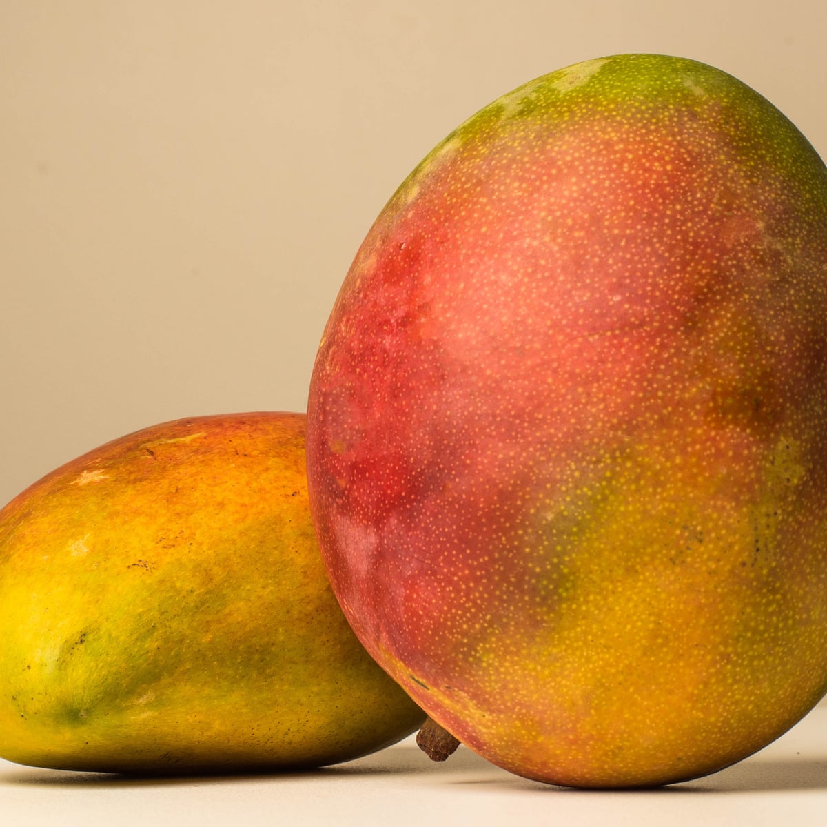 Download Bite It Squeeze It Suck It The Right Way To Eat Mango Life And Style The Guardian Desktop Wallpaper Get Wallpaper Bite It Squeeze It Suck It The Right Way To Eat Mango Life And Style The Guardian Desktop Wallpaper Free